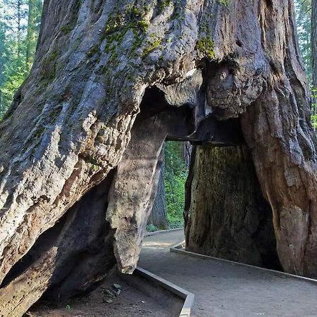 Lakeside Bls Retreat Near Big Trees & Bear Valley Villa Arnold Exterior foto