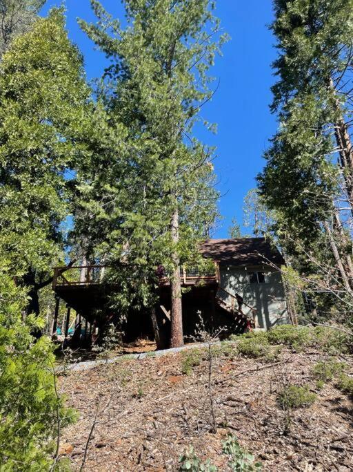 Lakeside Bls Retreat Near Big Trees & Bear Valley Villa Arnold Exterior foto